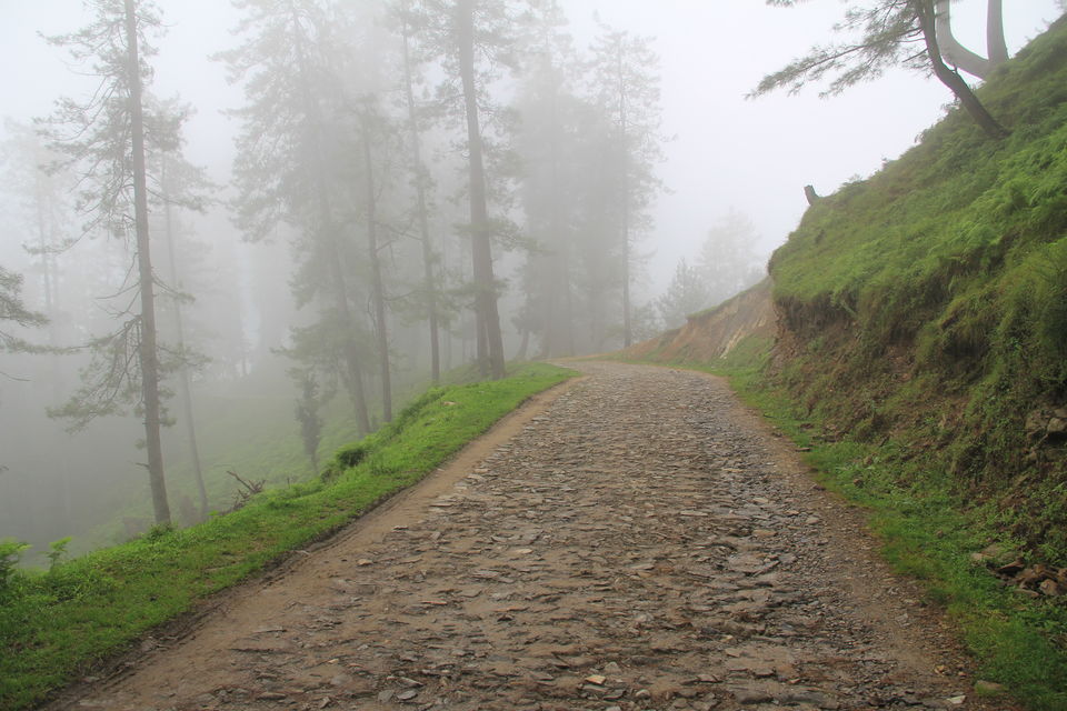 Photo of Narkanda – Through the trails of hills, rains, nature 33/49 by Nitin Sharma