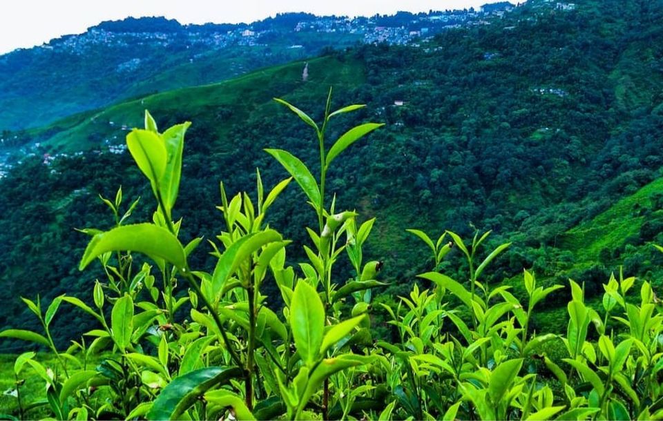 Photo of Darjeeling - A Place where Hills Meets The Heaven - Hipster Tripster 1/1 by Devesh Tiwari