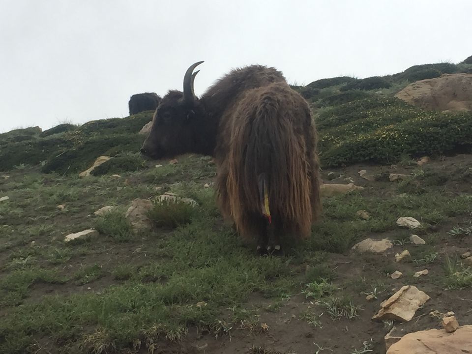 Photo of A trip to the land of monks and mysteries! by Pritu Vatsa