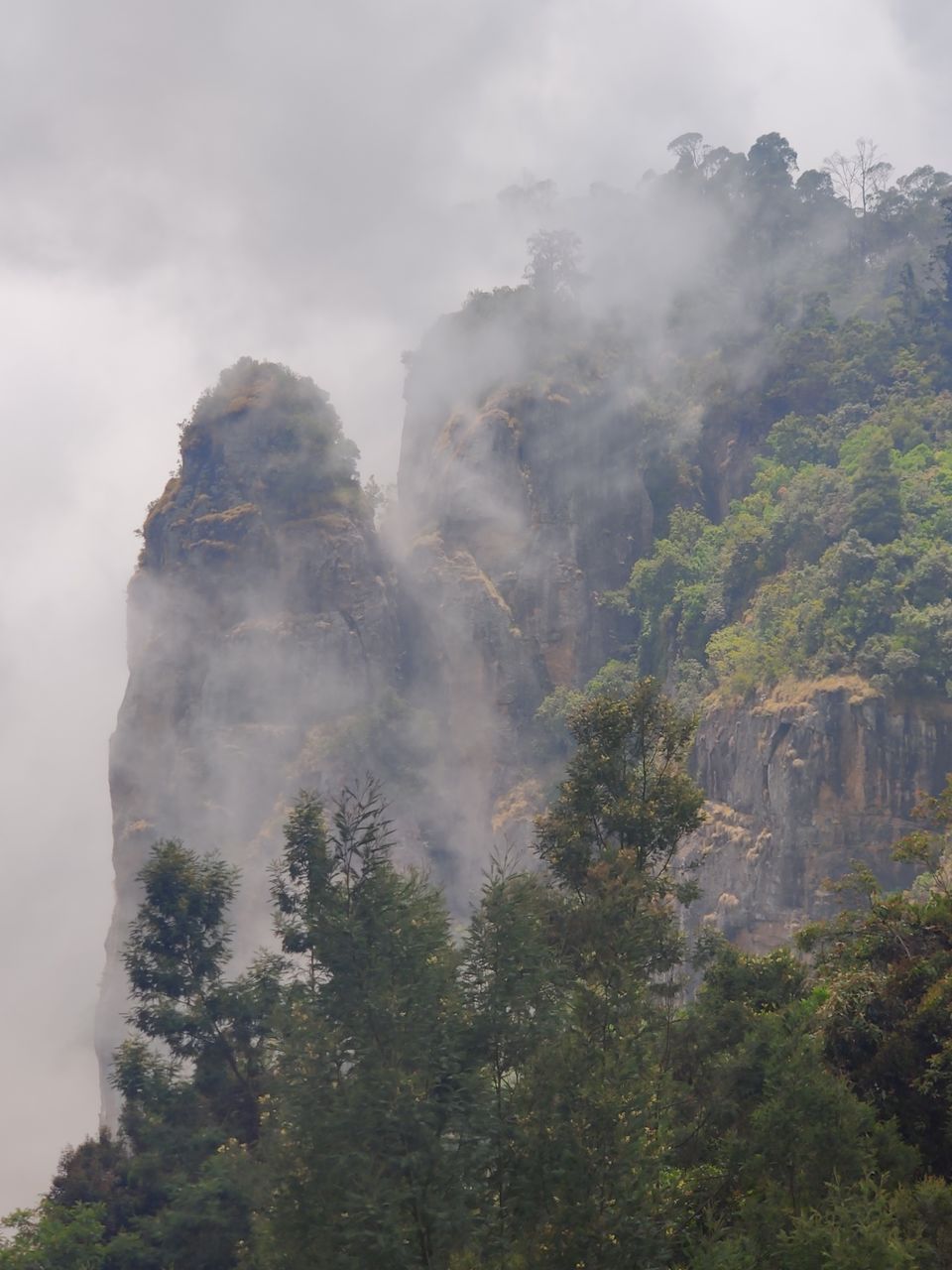 Photo of Pillar Rocks Viewpoint by nishant nickson