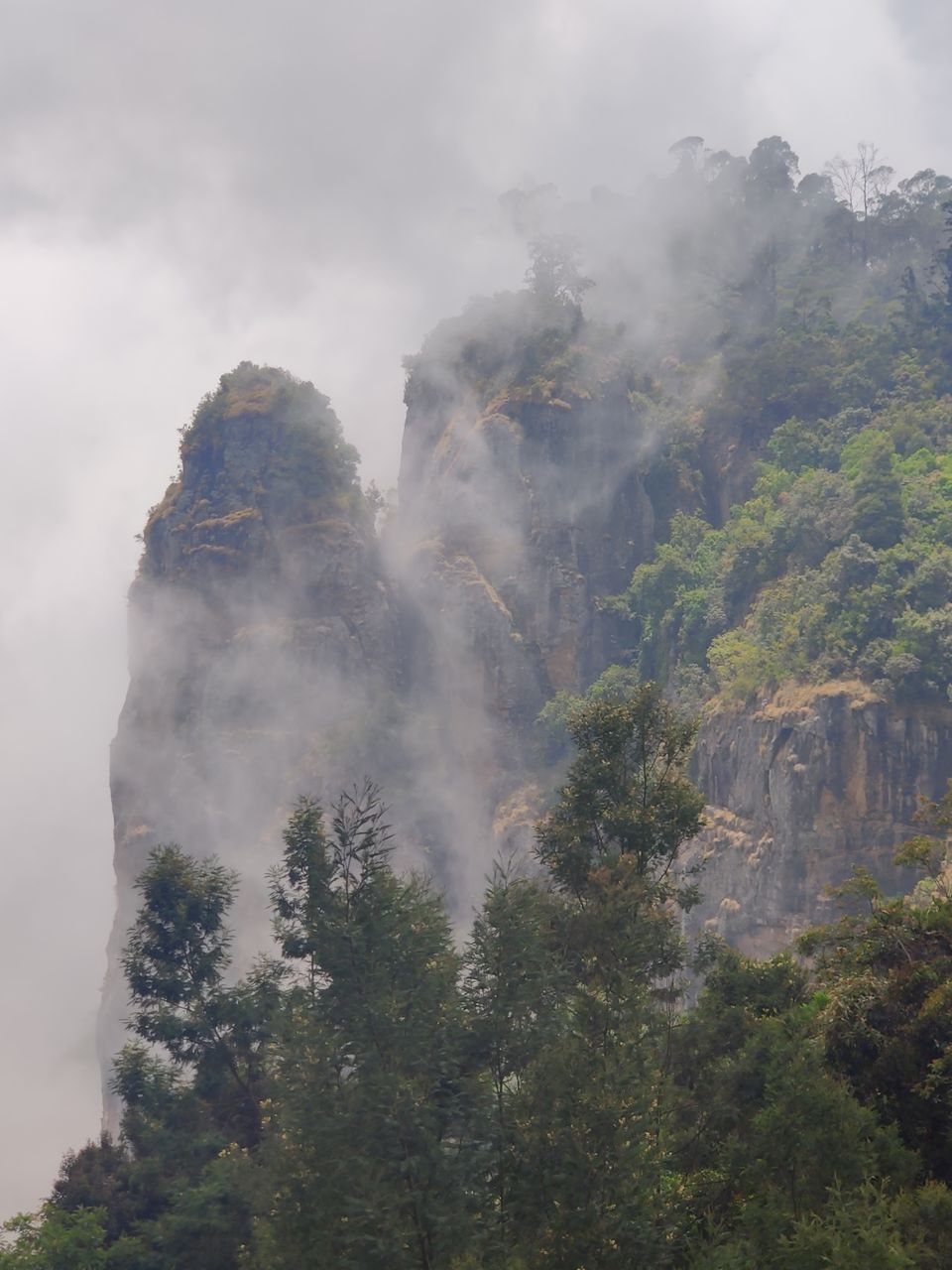 Photo of Pillar Rocks Viewpoint by nishant nickson