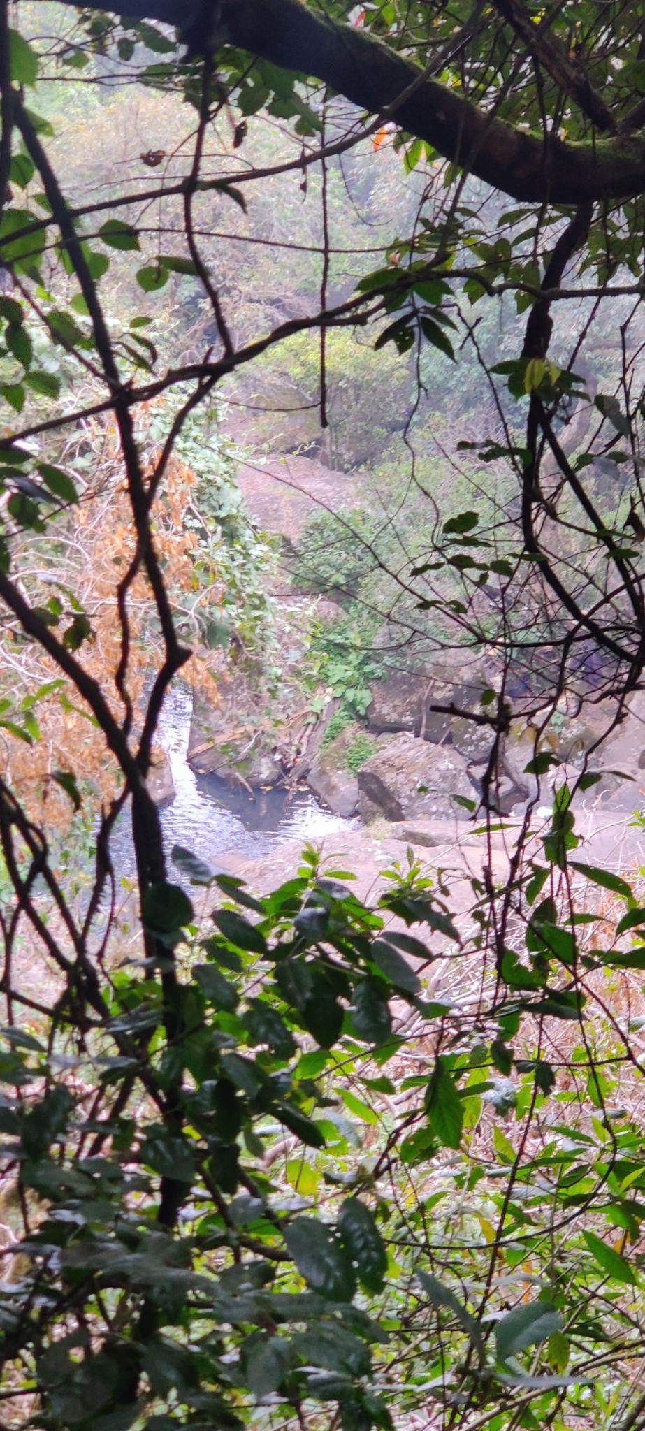 Photo of Vattakanal by nishant nickson