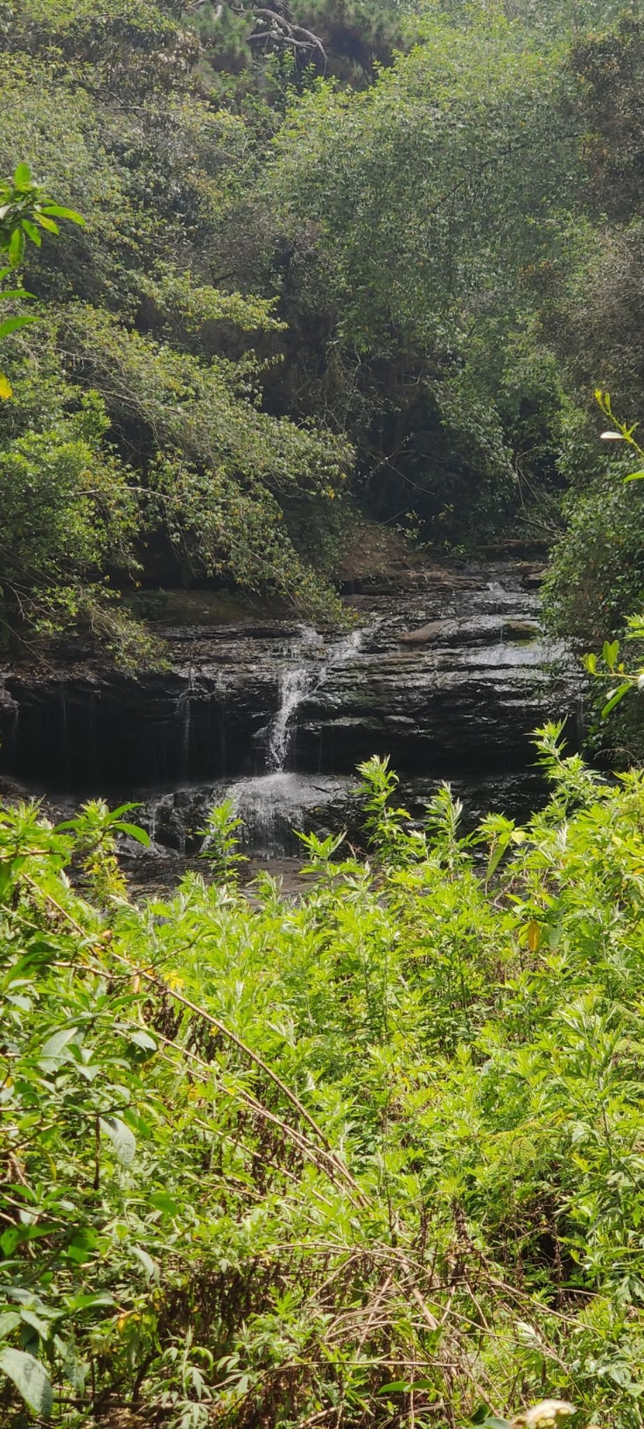 Photo of Vattakanal by nishant nickson
