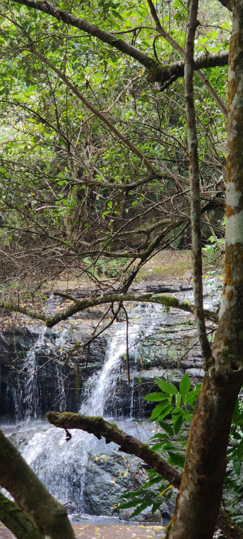 Photo of Vattakanal by nishant nickson