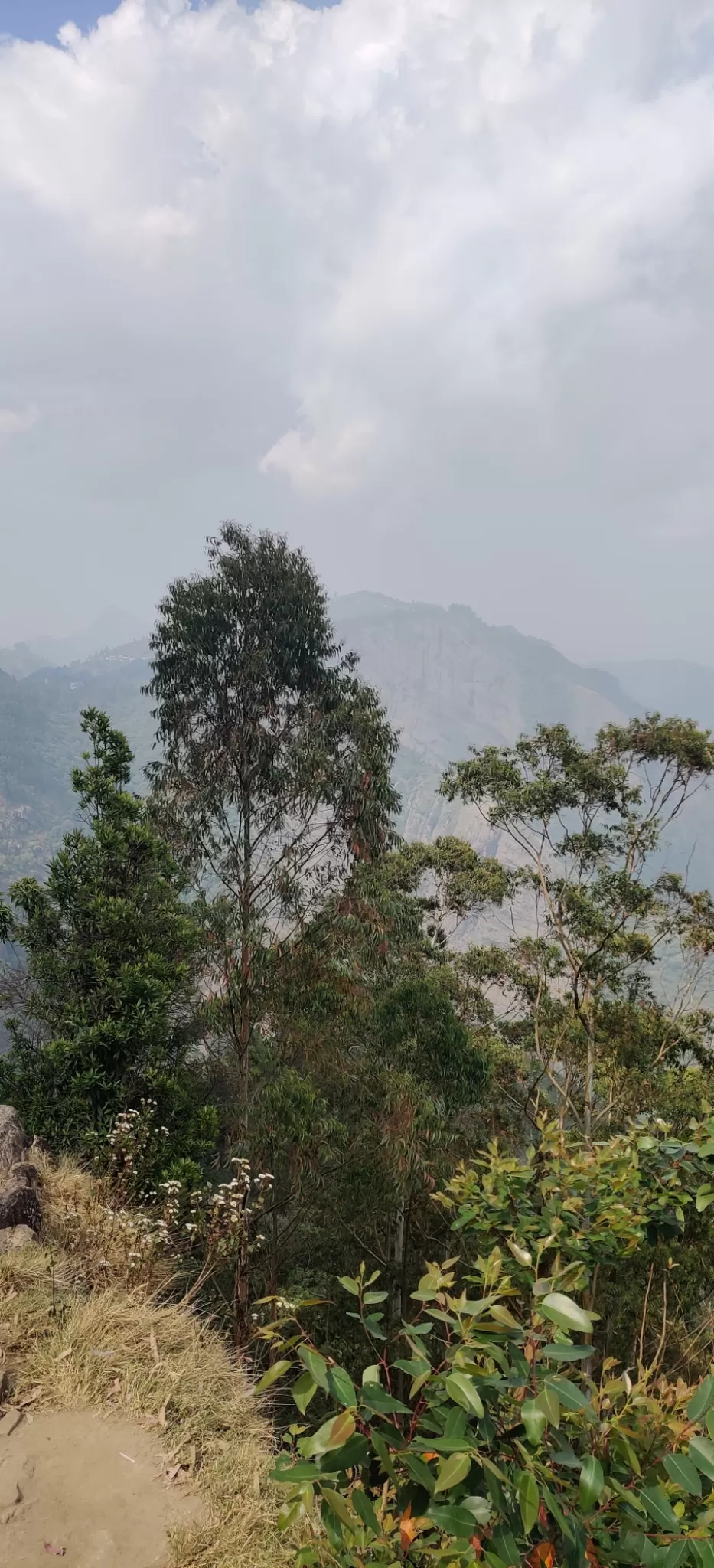 Photo of Mountain View - Kodaikanal by nishant nickson