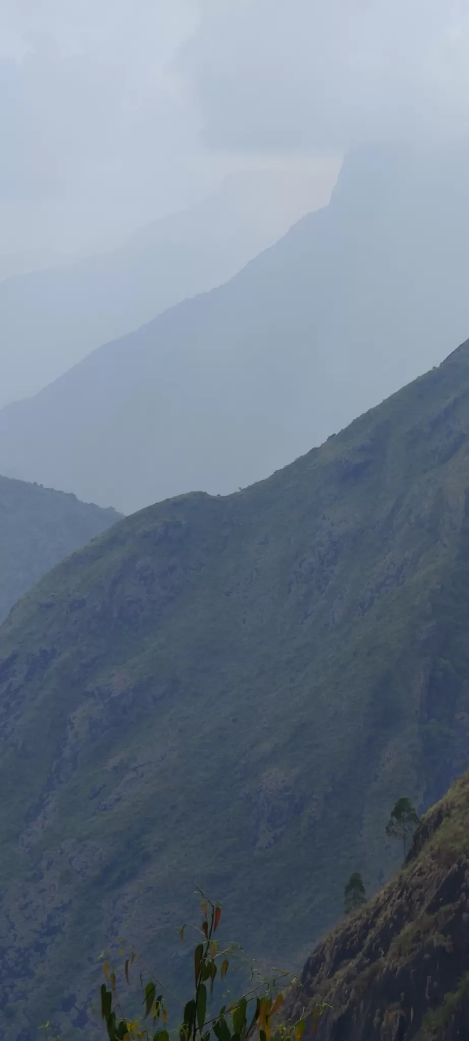 Photo of Mountain View - Kodaikanal by nishant nickson