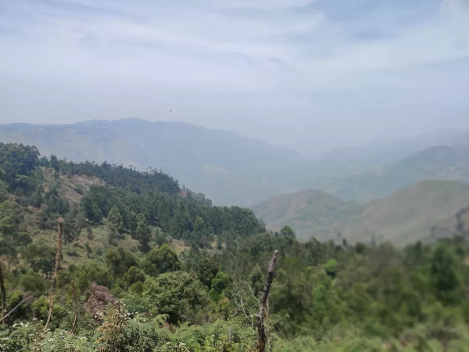 Photo of Mountain View - Kodaikanal by nishant nickson