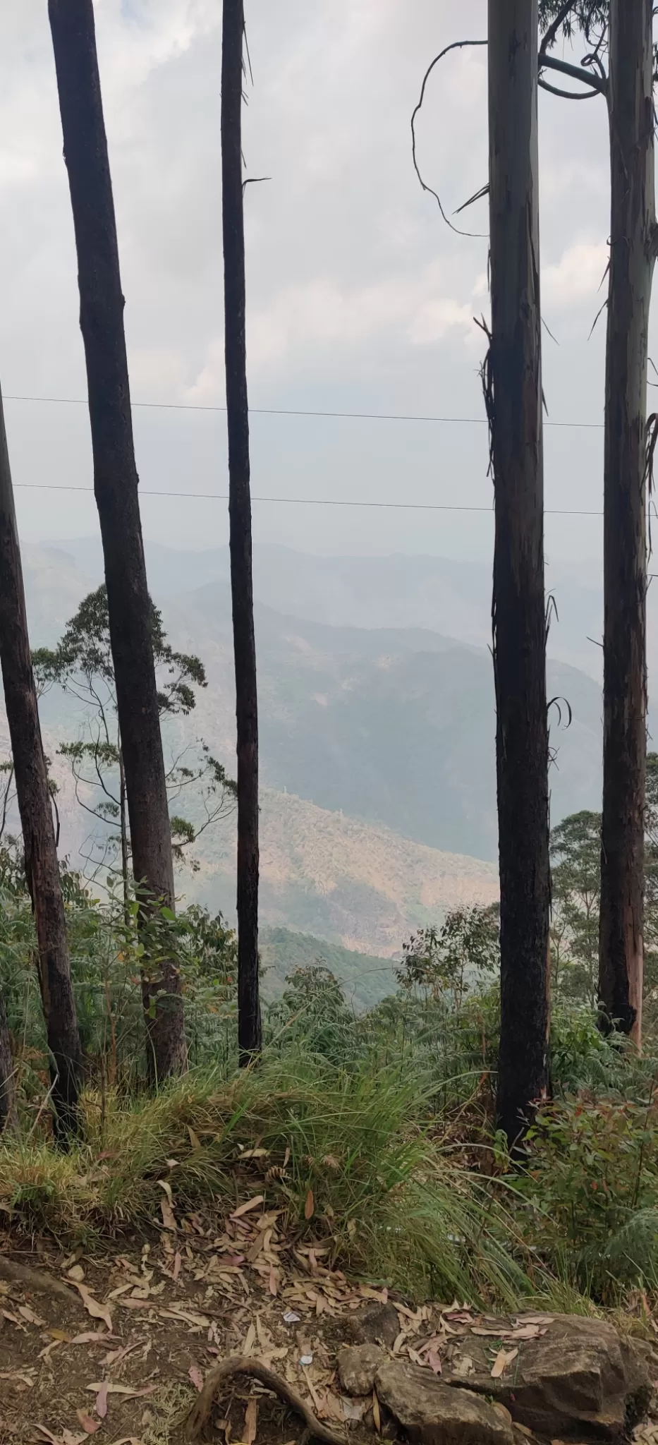 Photo of Mountain View - Kodaikanal by nishant nickson