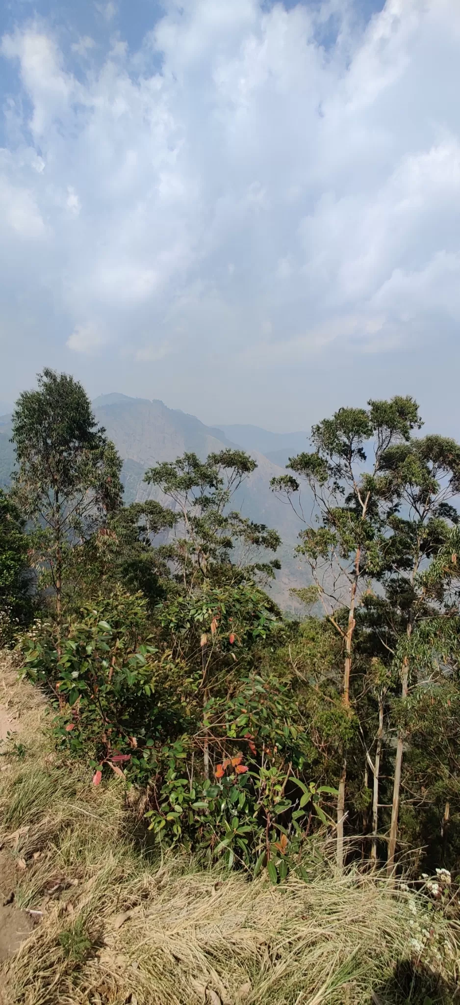 Photo of Mountain View - Kodaikanal by nishant nickson