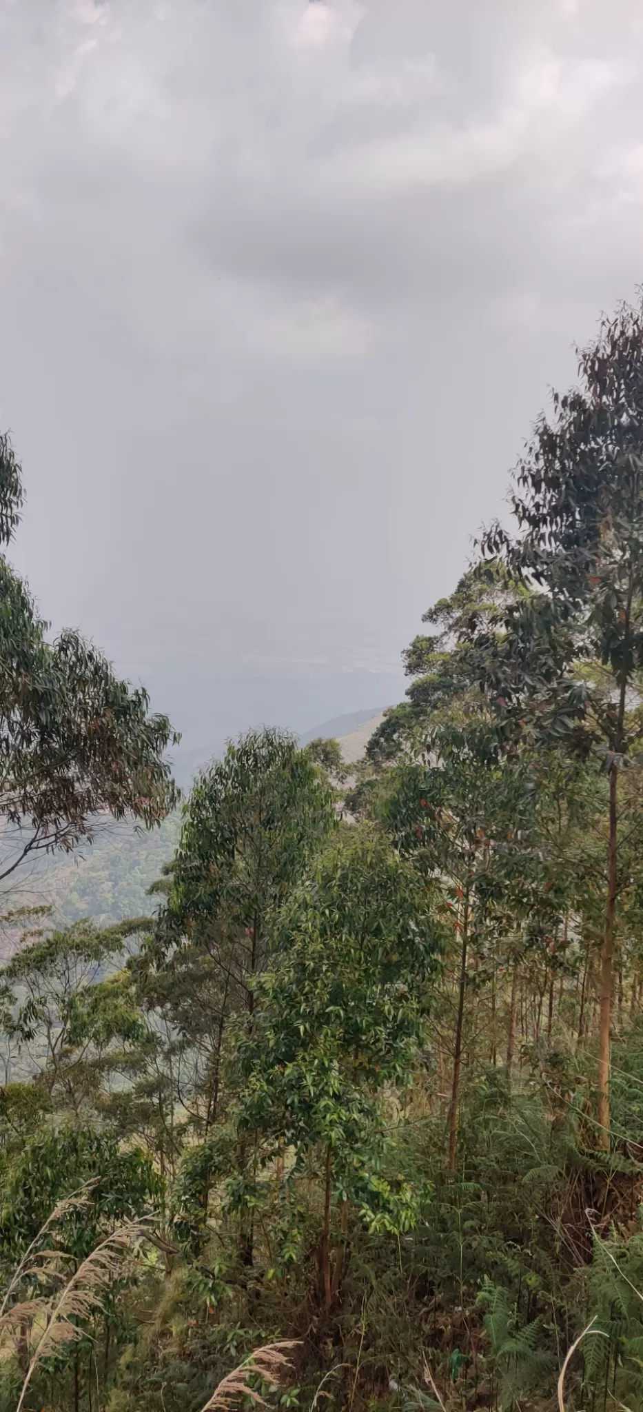 Photo of Mountain View - Kodaikanal by nishant nickson