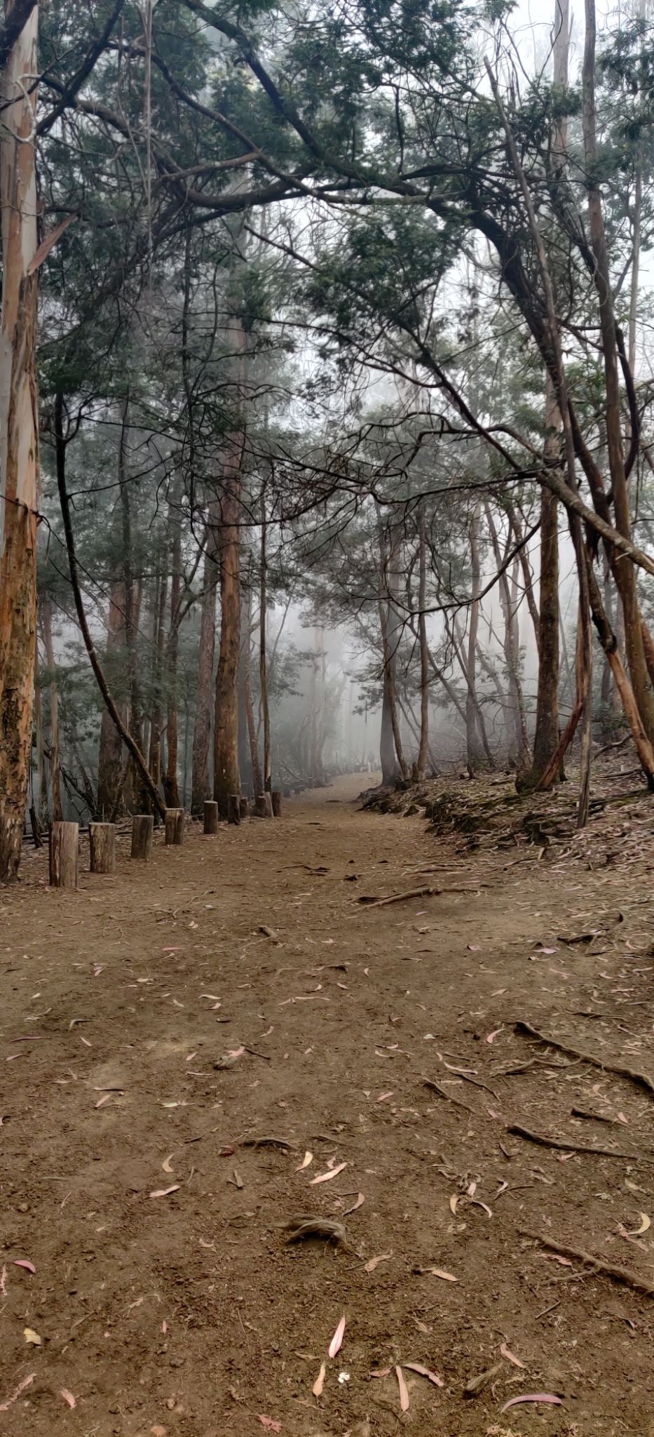 Photo of Guna Caves by nishant nickson