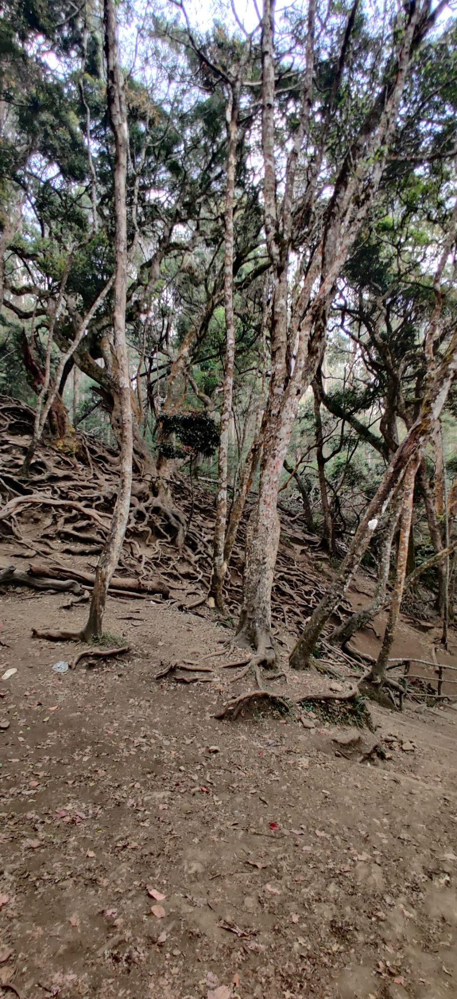 Photo of Guna Caves by nishant nickson