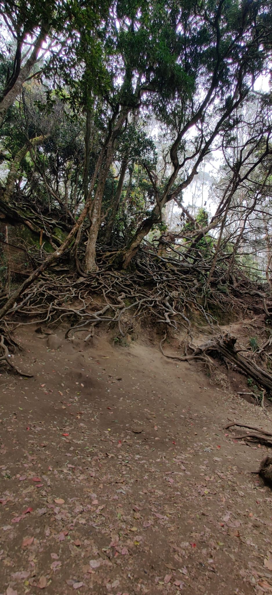 Photo of Guna Caves by nishant nickson
