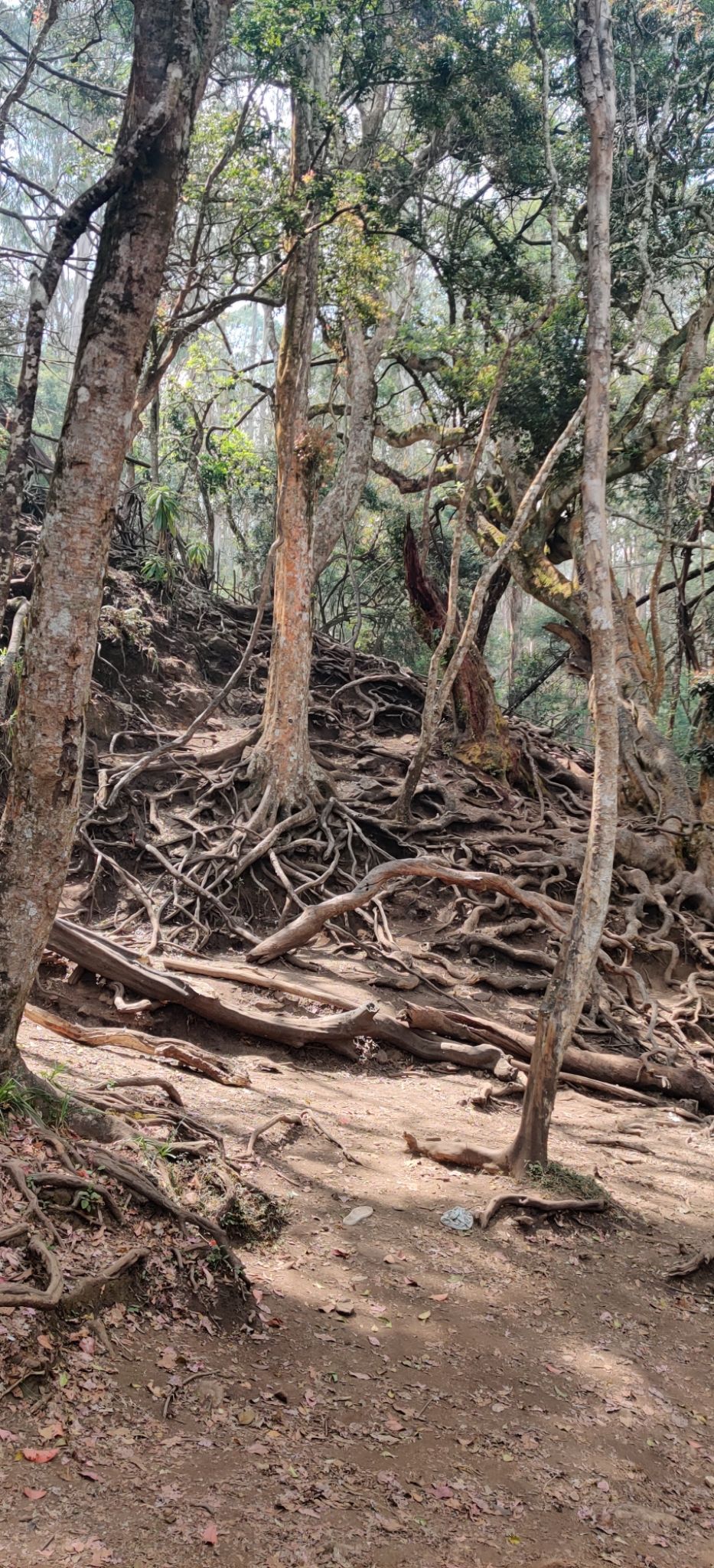 Photo of Guna Caves by nishant nickson