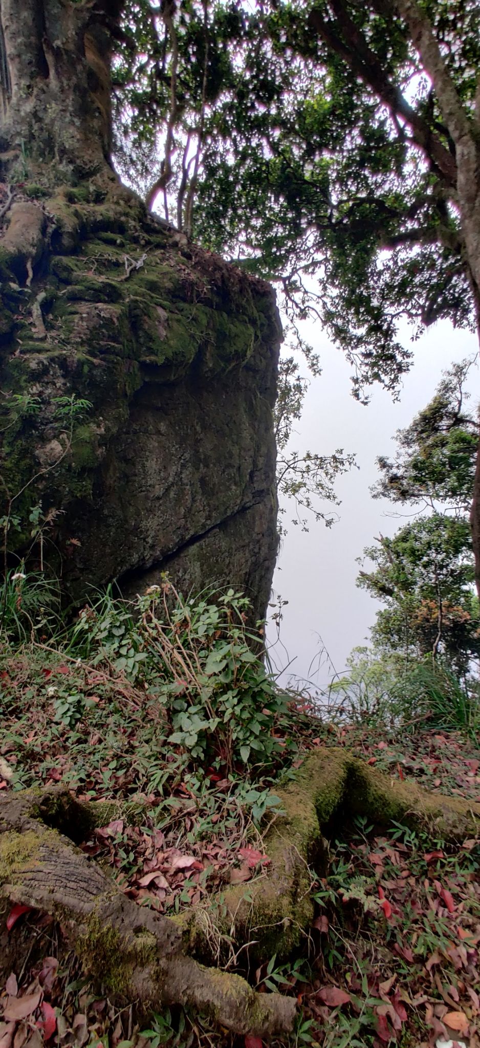 Photo of Guna Caves by nishant nickson