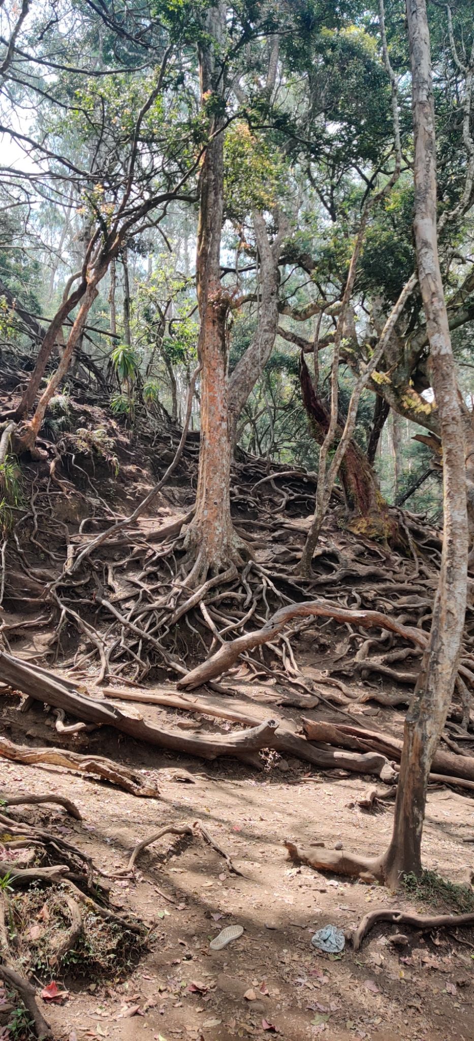 Photo of Guna Caves by nishant nickson