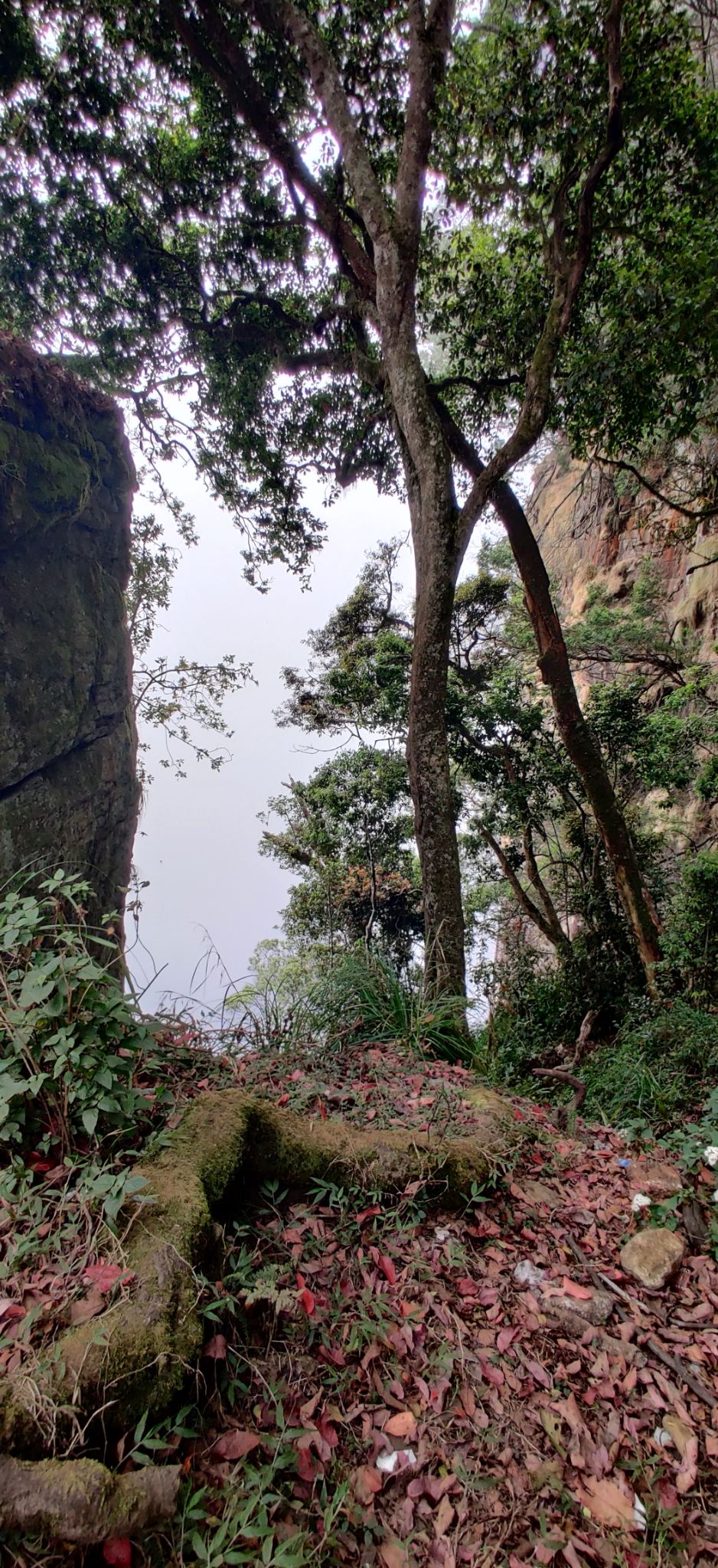 Photo of Guna Caves by nishant nickson