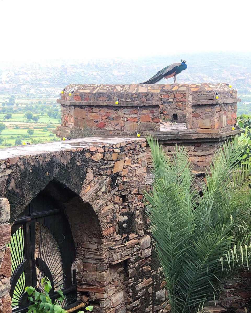 Photo of Alwar, Rajasthan, India by One place at a time