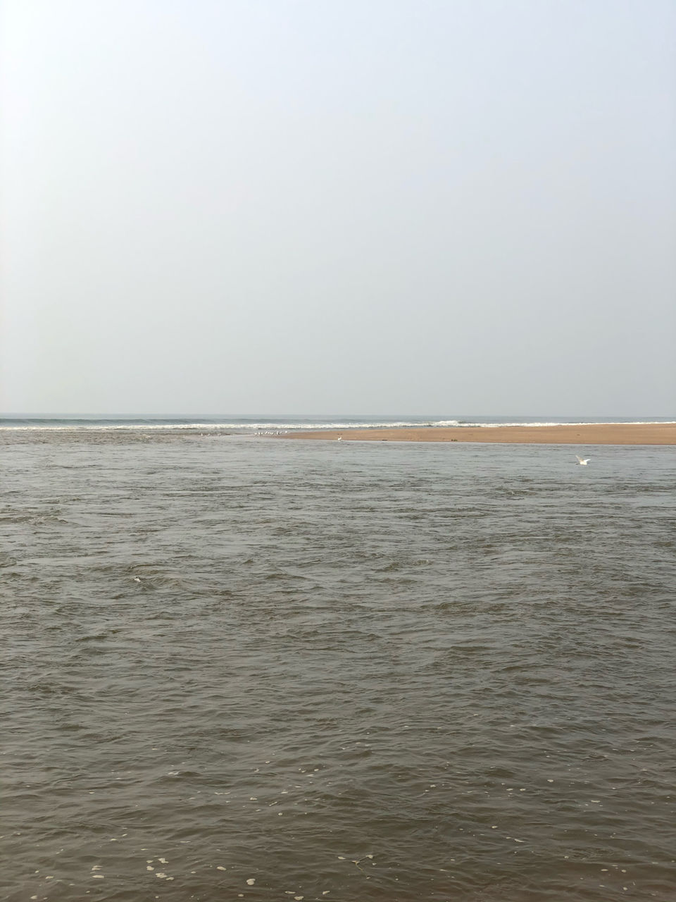 Photo of Sterling Puri - Resorts and Hotels, Puri, Odisha, India by One place at a time