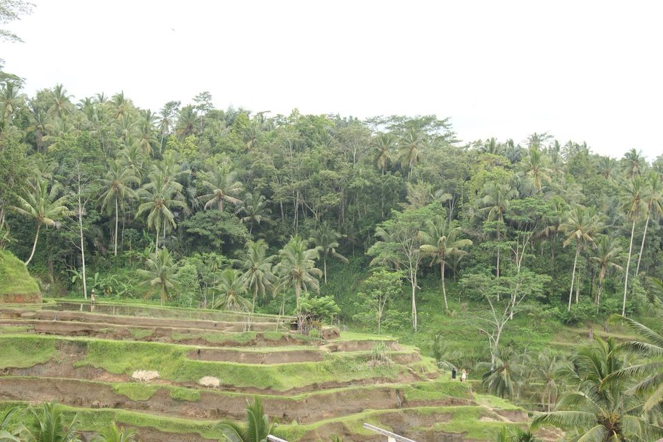 Bali The Island Of Gods Tripoto 0226