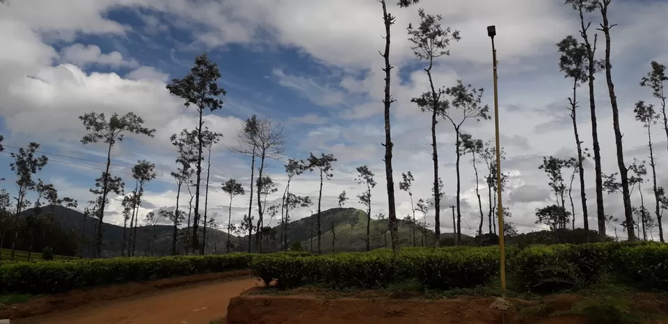 Photo of Anakkallu, Kerala, India by Philson Mathews