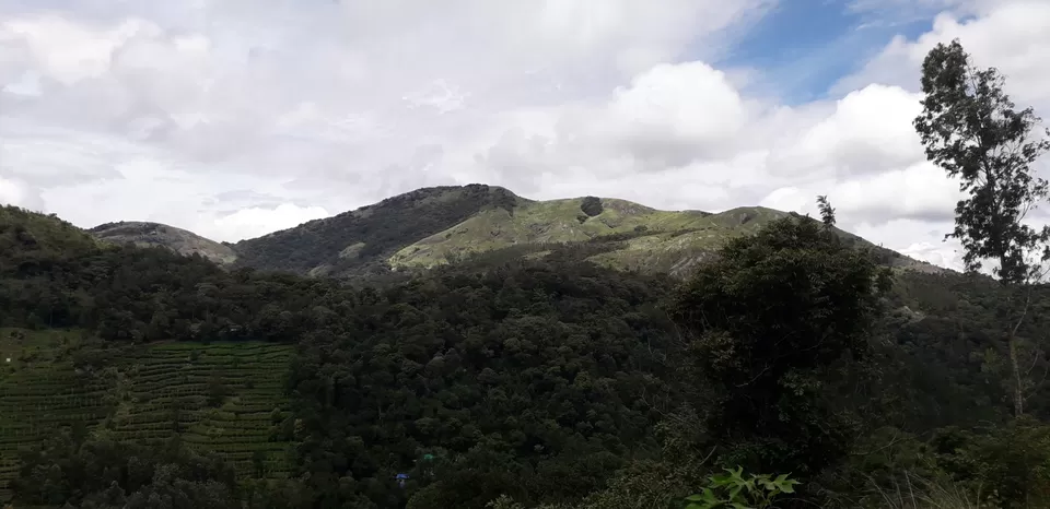 Photo of Anakkallu, Kerala, India by Philson Mathews