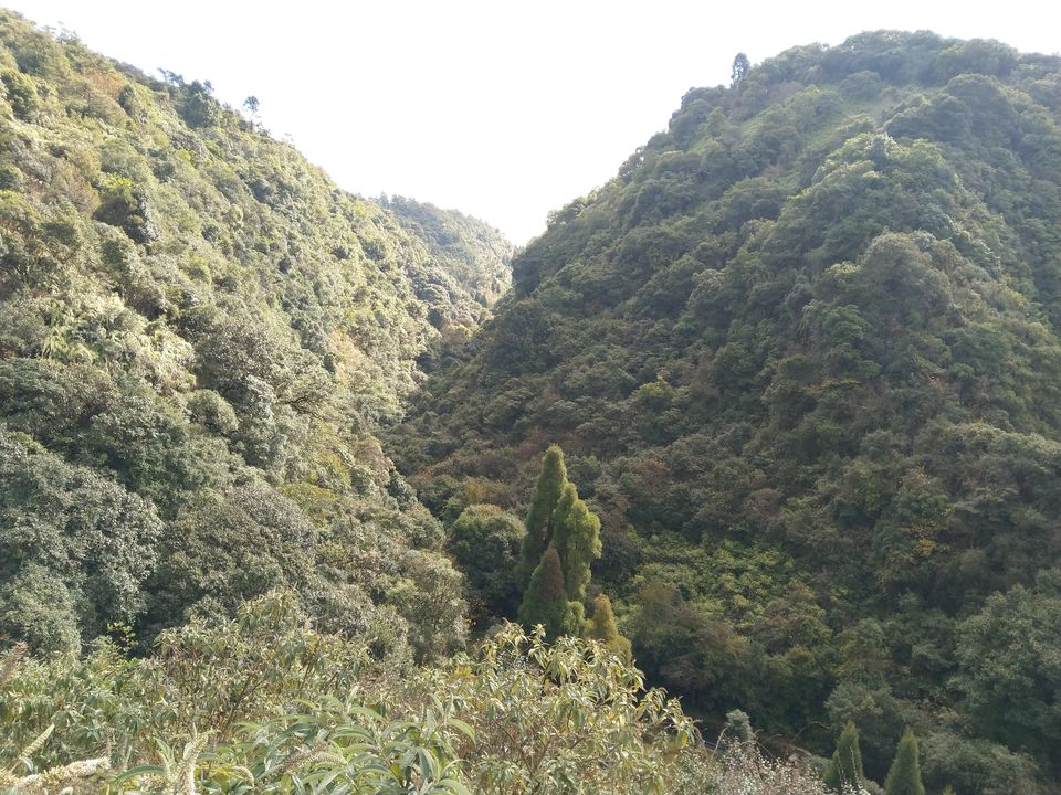 Photo of Meghalaya Beauty!! 8/19 by Krishna Moorthy