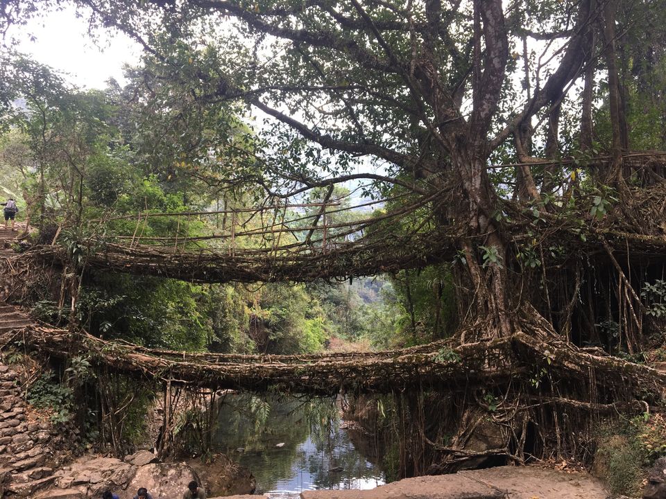 Photo of Meghalaya Beauty!! 15/19 by Krishna Moorthy