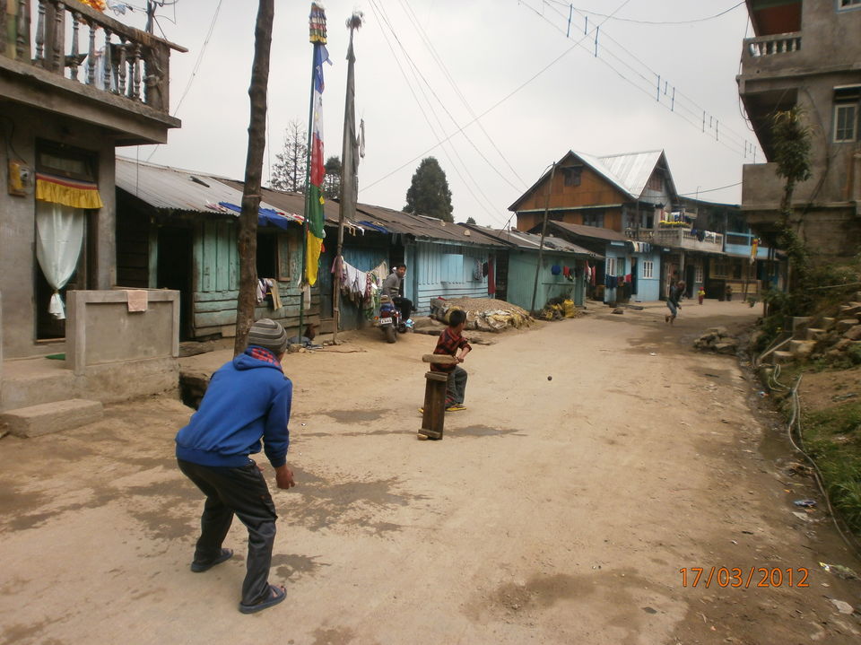 Photo of An Amateur's Trek To Sandakphu, The Himalayas 1/19 by Saubhik Ghosh