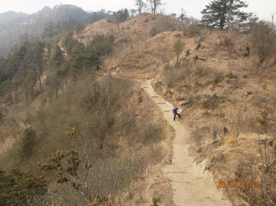 Photo of An Amateur's Trek To Sandakphu, The Himalayas 14/19 by Saubhik Ghosh