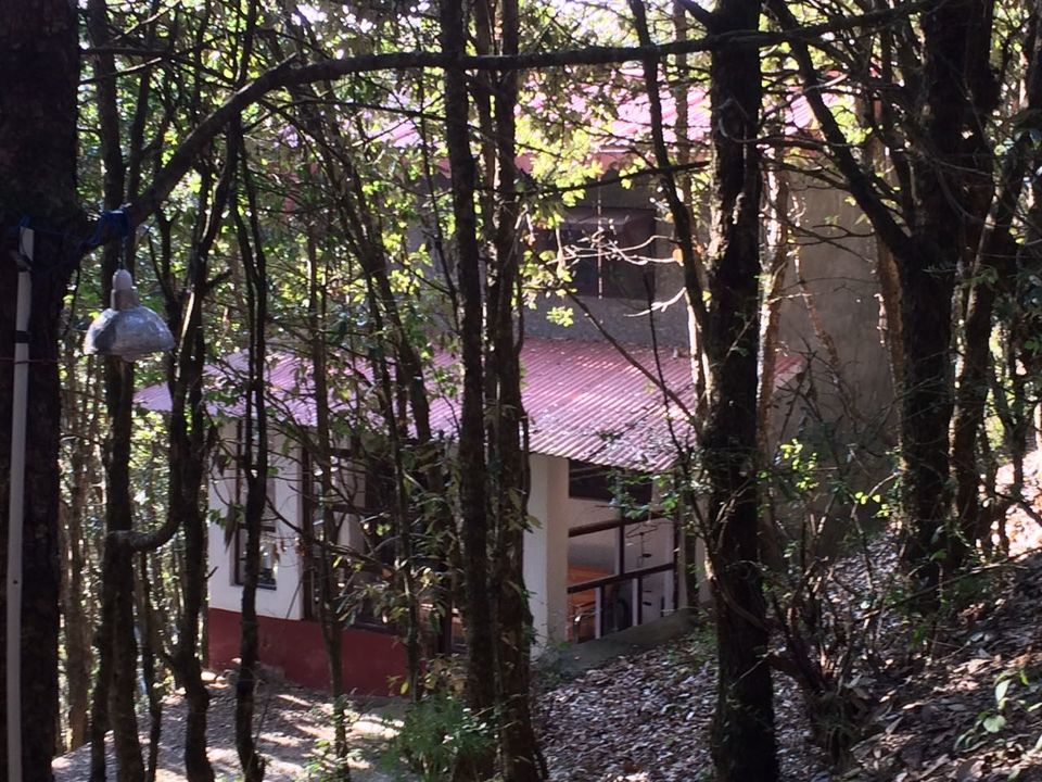 Photo of Pangot- A lesser known Hill Station in Uttarakhand by M Naik