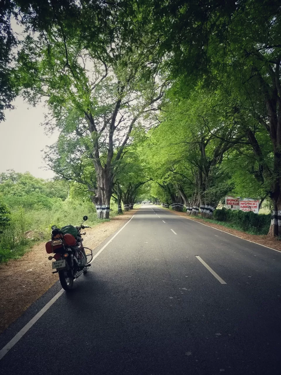 Photo of Kodaikanal, Tamil Nadu, India by Satish Mohapatra