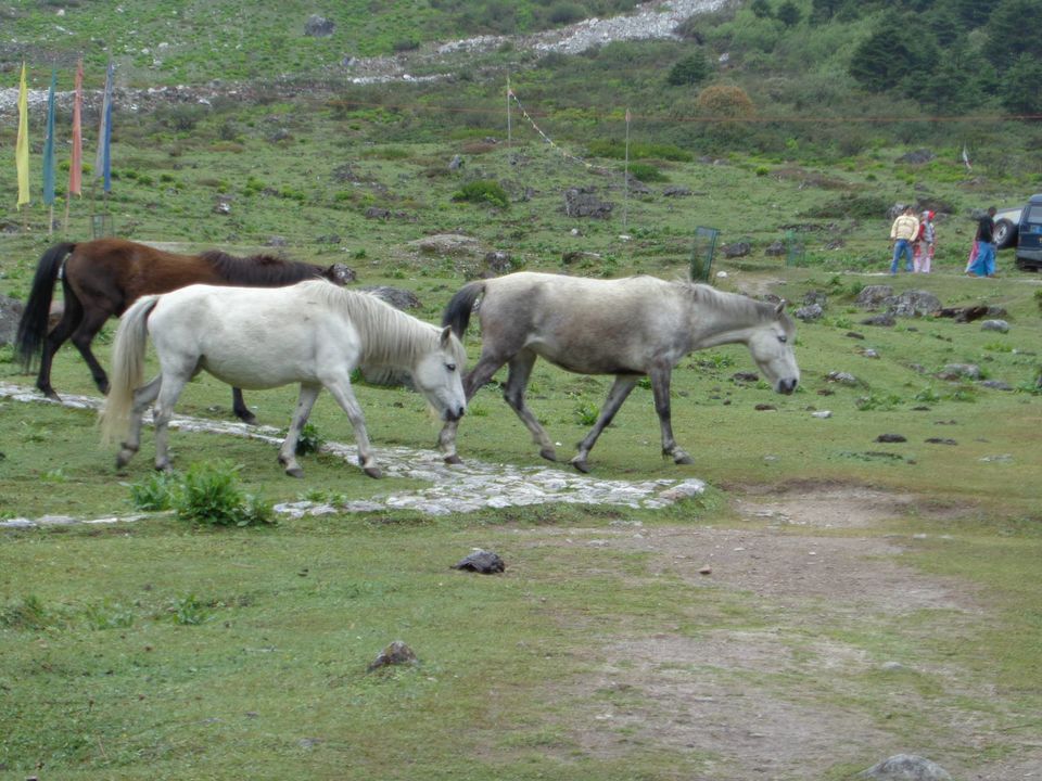 Photo of North Sikkim by Anupam Debnath