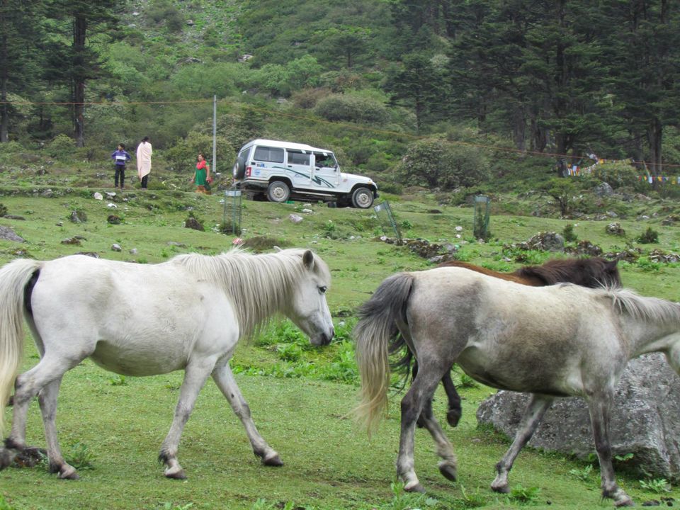 Photo of North Sikkim by Anupam Debnath