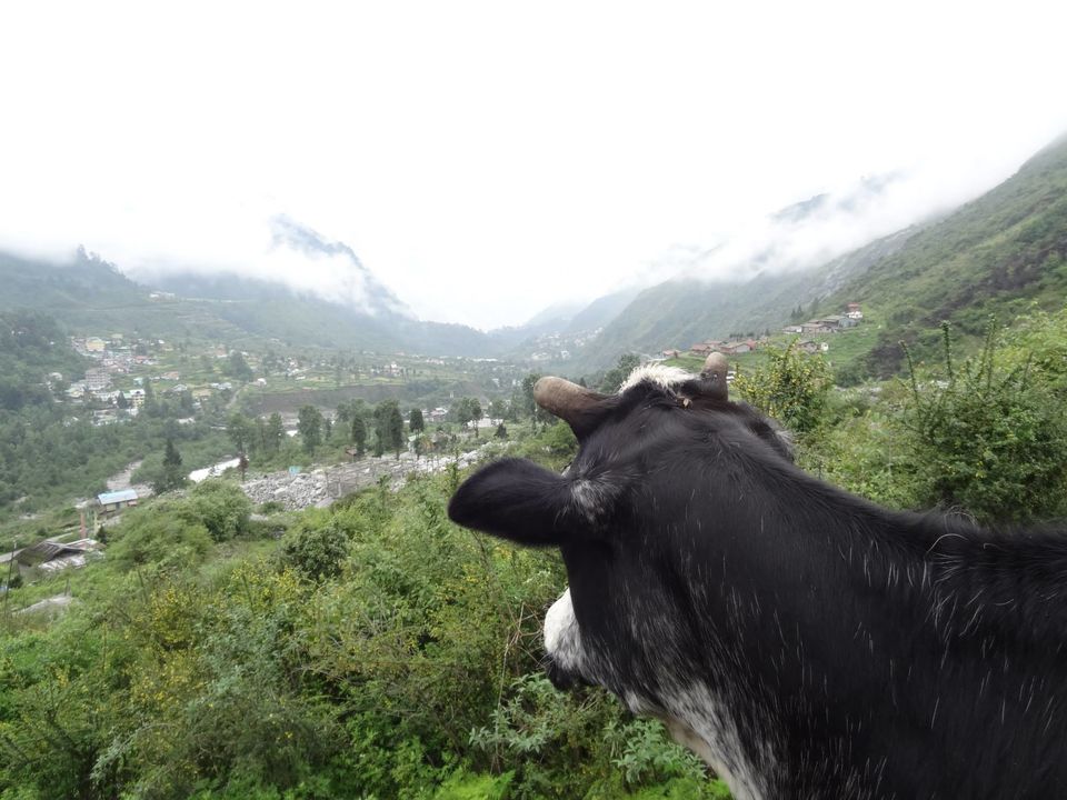 Photo of North Sikkim by Anupam Debnath