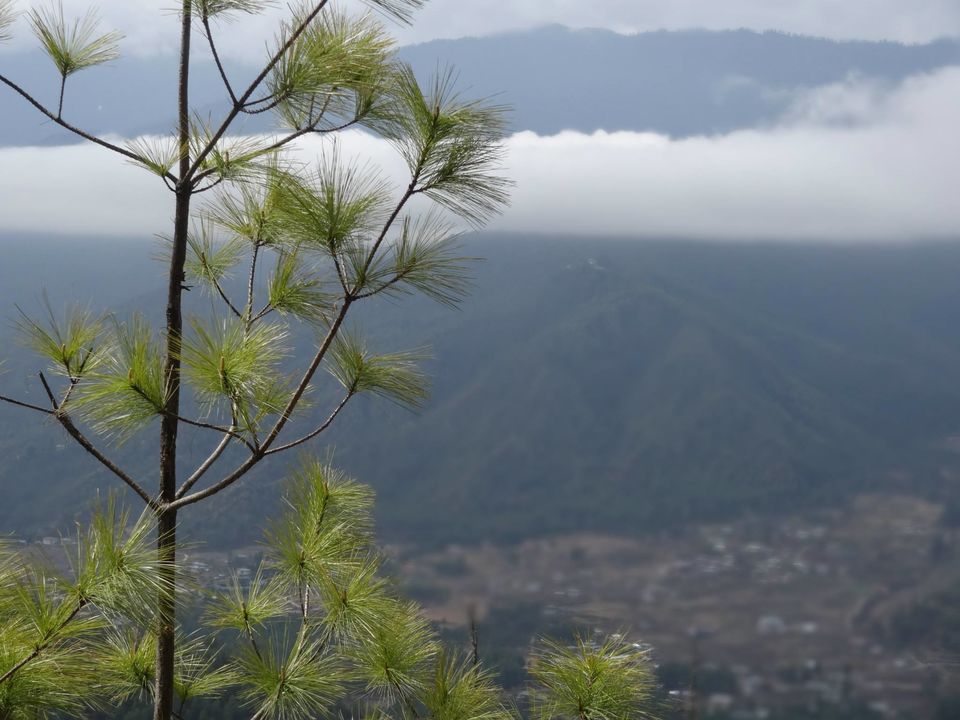 Photo of Bhutan - Land of Tiger Nest Monastery 54/60 by Anupam Debnath