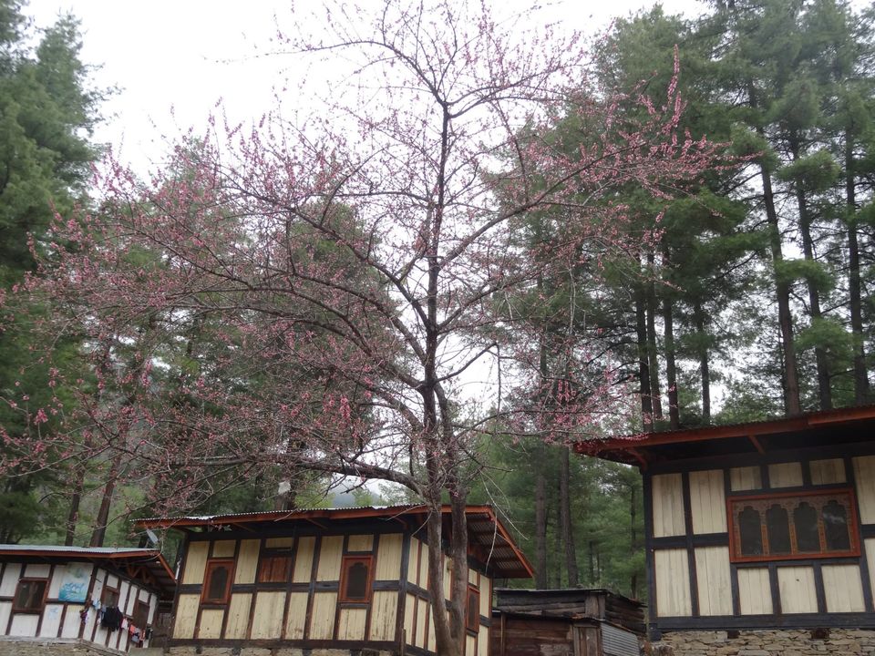 Photo of Bhutan - Land of Tiger Nest Monastery 50/60 by Anupam Debnath