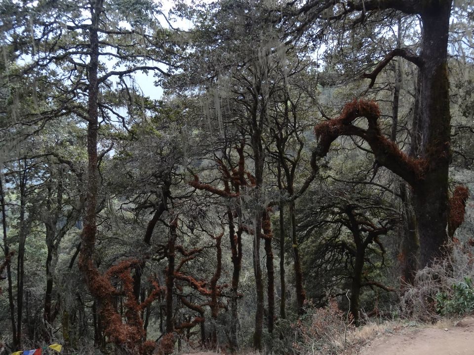 Photo of Bhutan - Land of Tiger Nest Monastery 55/60 by Anupam Debnath