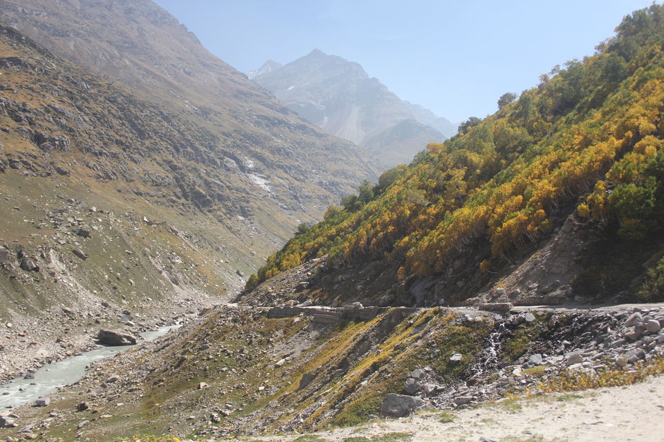Photo of Koksar Bus Stop, Leh Manali Highway, Khoksar, Himachal Pradesh, India by Anupam Debnath