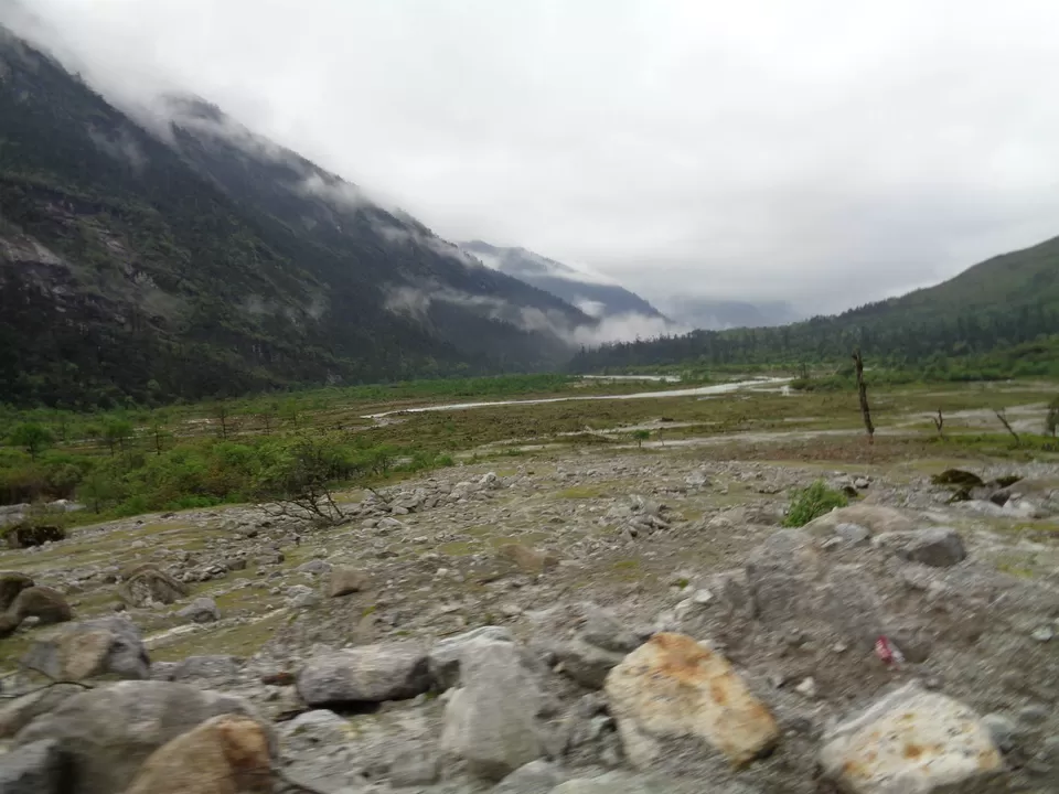 Photo of Yumthang Valley by Anupam Debnath