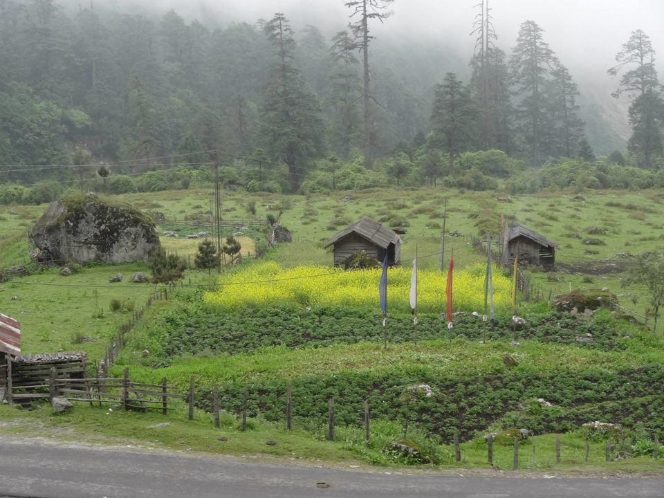 Photo of North Sikkim by Anupam Debnath