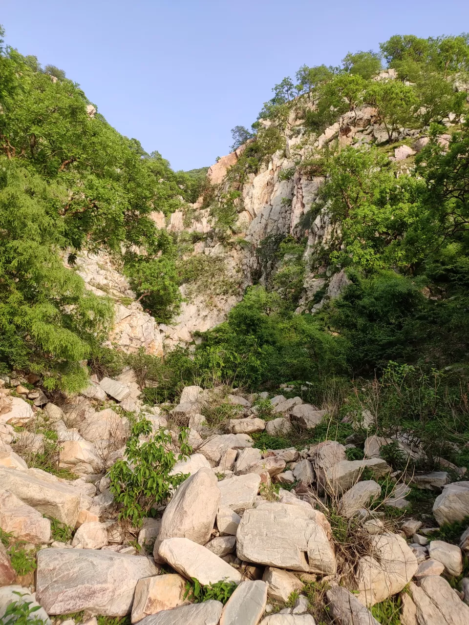 Photo of Raghunathgarh By Pawan Kumawat