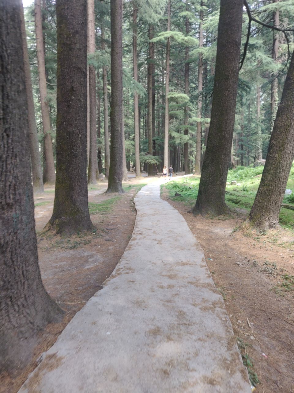 Photo of Manali, Himachal Pradesh, India by Puja Kaul