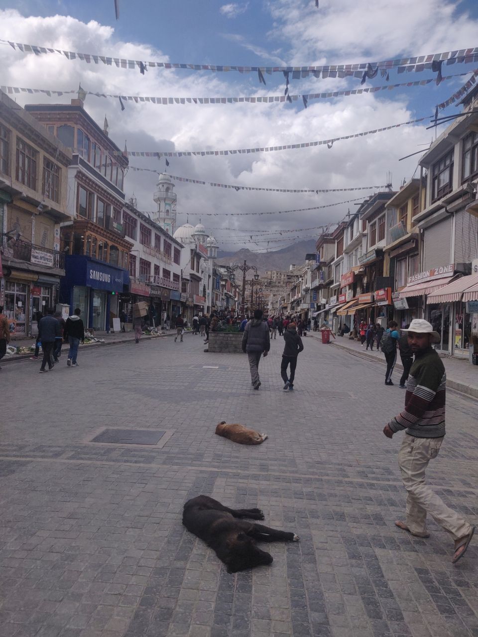 Photo of Leh by Puja Kaul