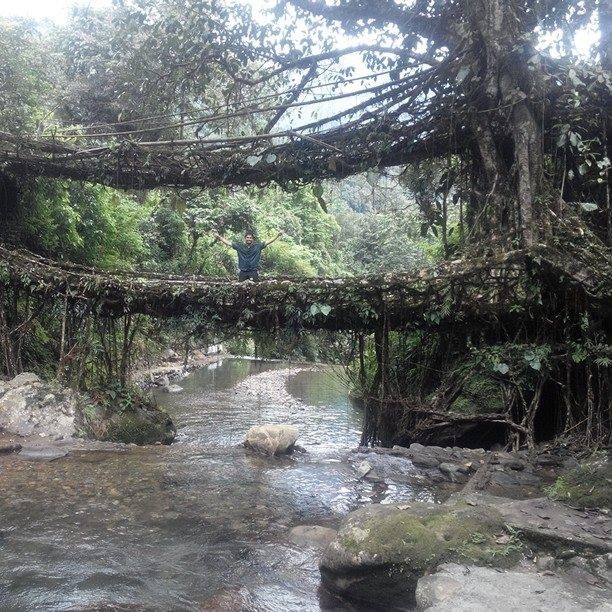 Photo of My Great Indian Adventure On Two Wheels (14012 kms/80 Days/Solo) 99/100 by Shailesh