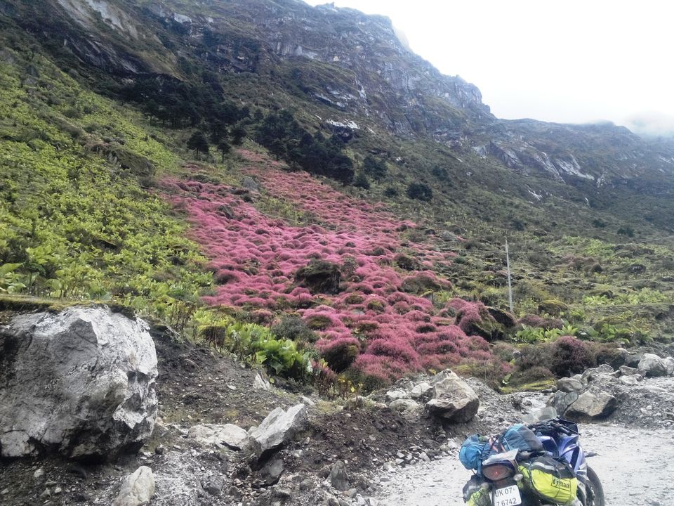 Photo of My Great Indian Adventure On Two Wheels (14012 kms/80 Days/Solo) 67/100 by Shailesh