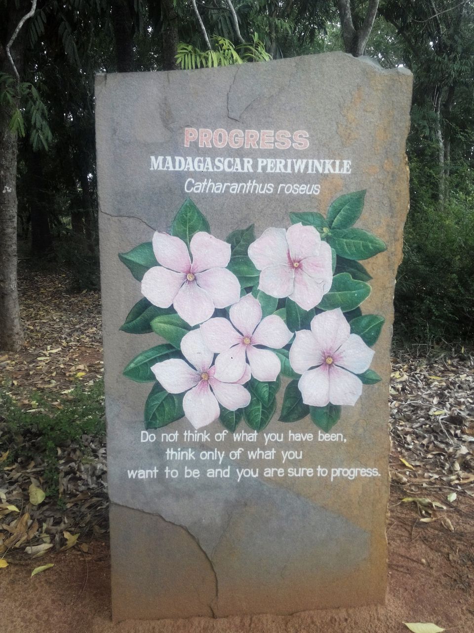 Photo of My Great Indian Adventure On Two Wheels (14012 kms/80 Days/Solo) 69/100 by Shailesh