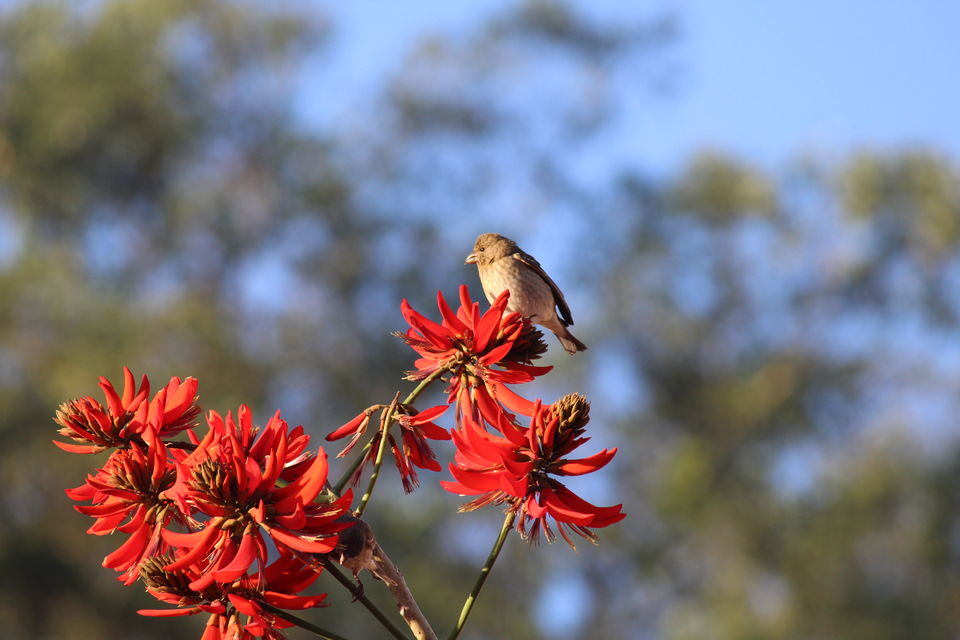 Photo of 5 Places You Must Visit in Peninsular India 4/6 by Shekhar Nanda Umakant