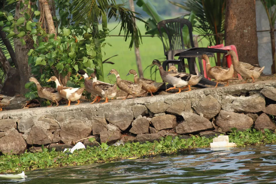 Photo of 5 Places You Must Visit in Peninsular India by Shekhar Nanda Umakant