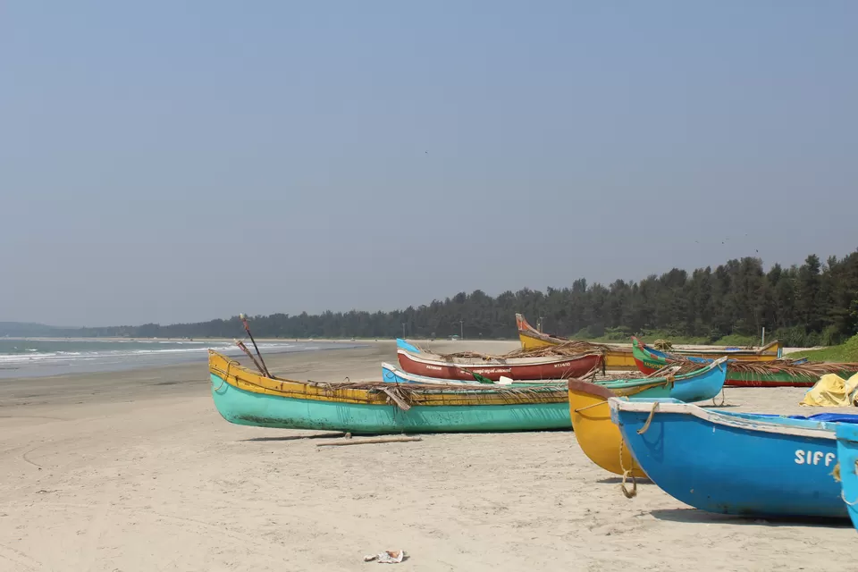 Photo of 5 Places You Must Visit in Peninsular India by Shekhar Nanda Umakant